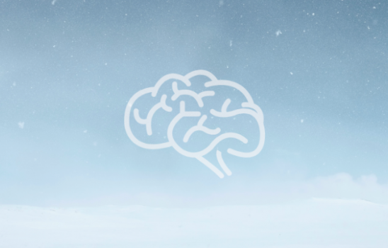 cialdini-principes.png